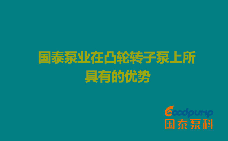 丝瓜社区在线观看泵业在凸轮丝瓜APP幸福宝入口上所具有的优势